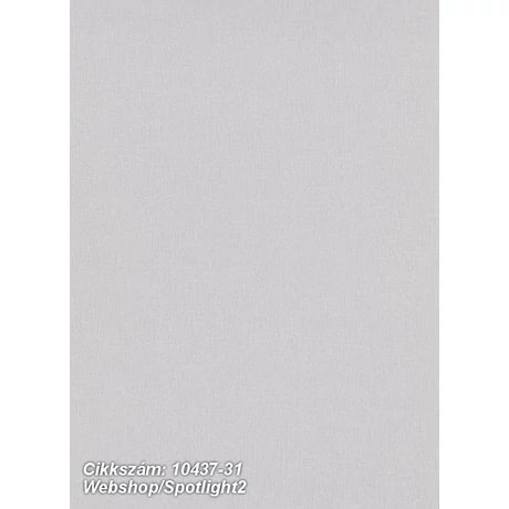 Spotlight 2 10437-31