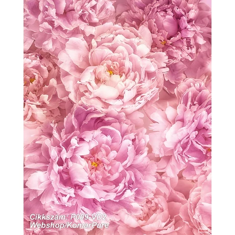 Komar Pure P009-VD2