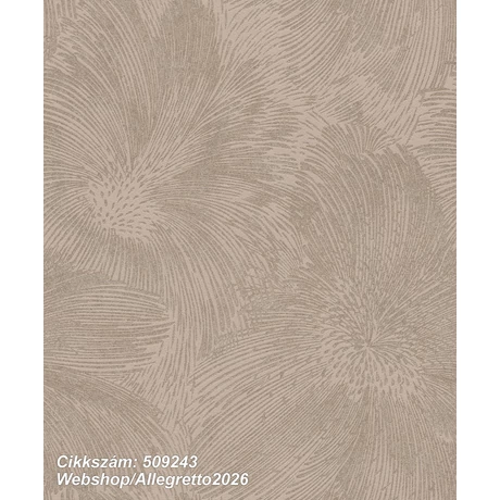 Allegretto 2026 509243