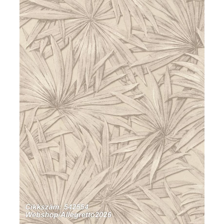 Allegretto 2026 542554