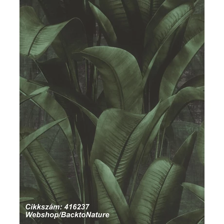 Back to Nature 416237