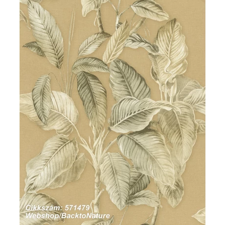 Back to Nature 571479